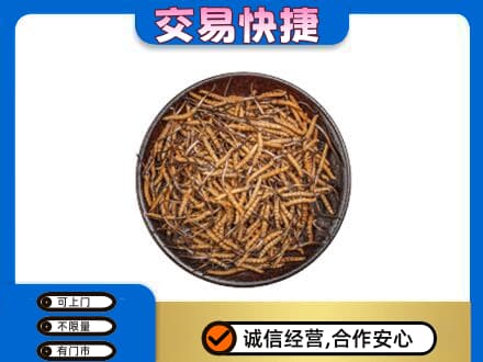 百色回收散虫草